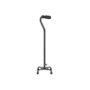 Walking Cane