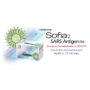 Quidel COVID-19 Antigen Test Kit